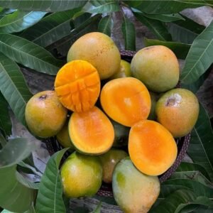 আম্রপালি ৪০ কেজি (১ মণ)