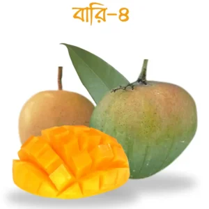 নওগাঁ সাপাহারের বারি-৪ ২০ কেজি প্যাক